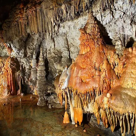 Apartmán Apartments Sofia *