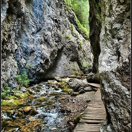 Sofia Appartamento *